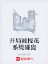 开局被校花系统碰瓷