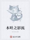 木叶之影流